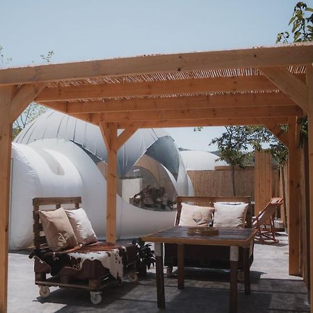 Fuente Del Lobo Glamping & Bungalows - Adults Only Pinos Genil Buitenkant foto