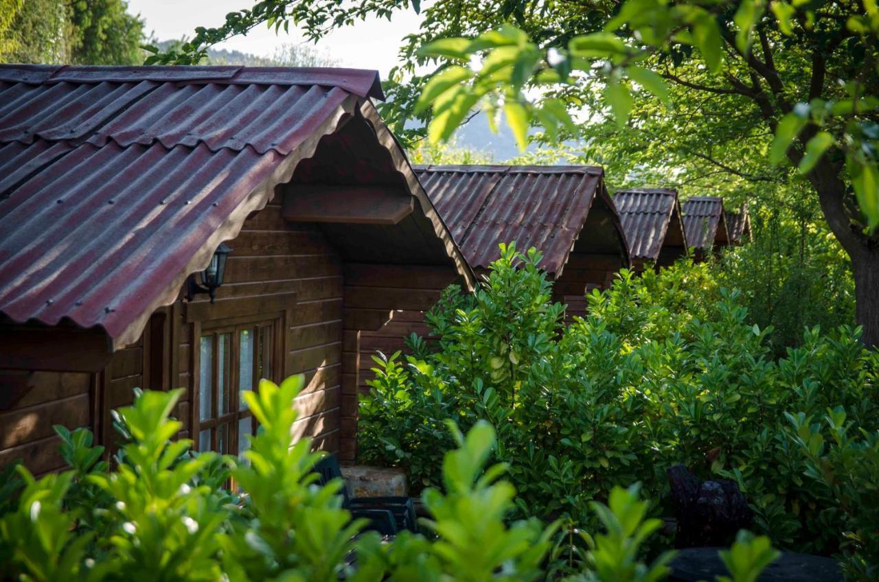 Fuente Del Lobo Glamping & Bungalows - Adults Only Pinos Genil Buitenkant foto