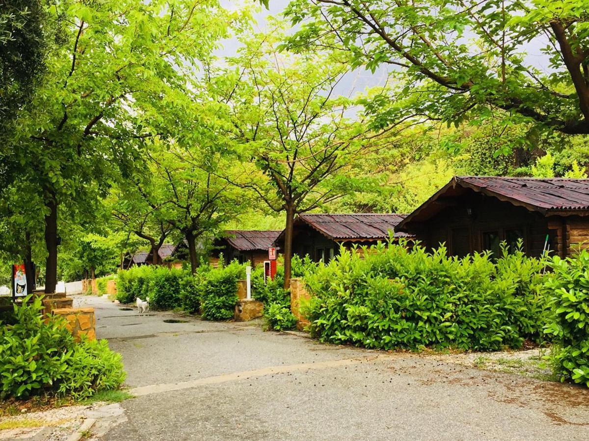 Fuente Del Lobo Glamping & Bungalows - Adults Only Pinos Genil Buitenkant foto