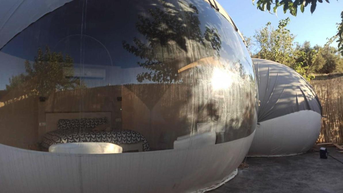 Fuente Del Lobo Glamping & Bungalows - Adults Only Pinos Genil Buitenkant foto