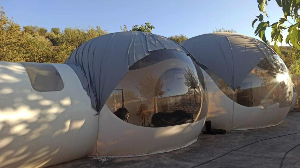 Fuente Del Lobo Glamping & Bungalows - Adults Only Pinos Genil Buitenkant foto